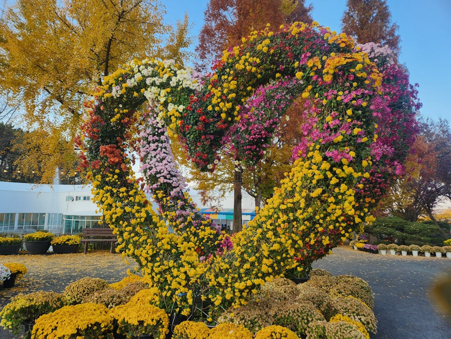 참사랑 이미지