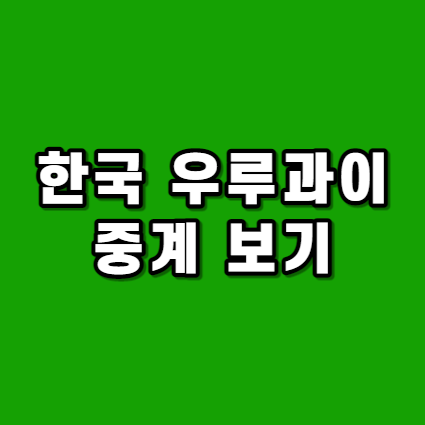 대표사진