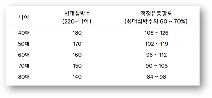 연령별 적정 운동 강도