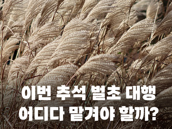 벌초대행