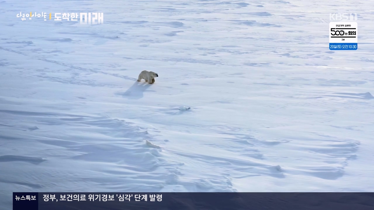 다큐 인사이트.E185.240419p-NEXT.mp4_20240420_161126.058.jpg