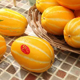 성주 참외 축제 알찬 정보 가요제 행사 일정 완벽 정리_8