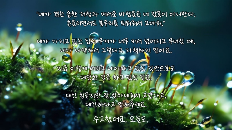 힐링-글-수고했어요