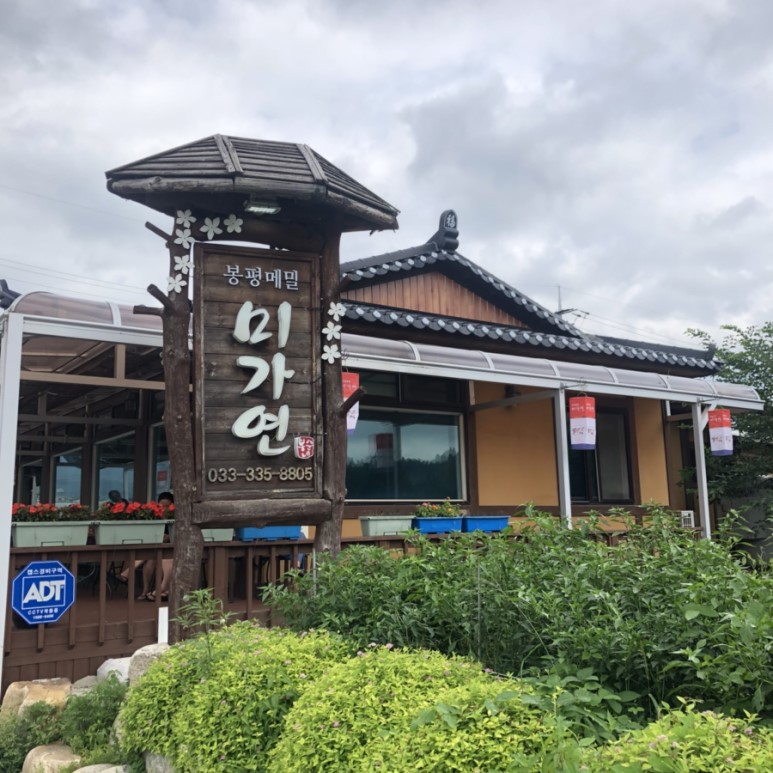  [강원도 평창 / 봉평 맛집] 육회와 메밀국수의 만남  <미가연>