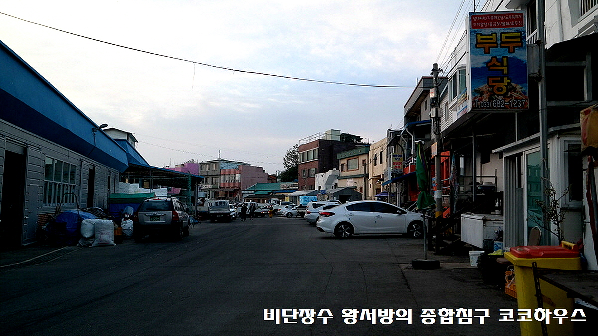 고성 대진항 수산시장 먹거리 맛집! 6