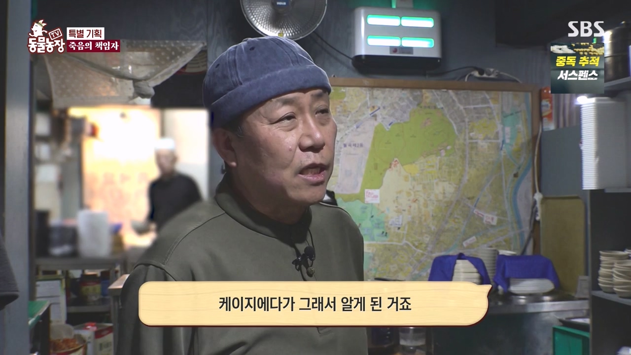 TV 동물농장.E1171.240513p-NEXT.mp4_20240512_163348.698.jpg