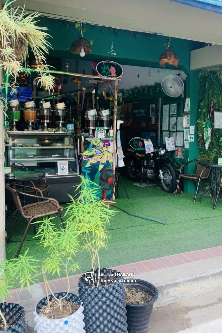 태국 대마 카페&amp;#44; 태국 대마 식당 사진