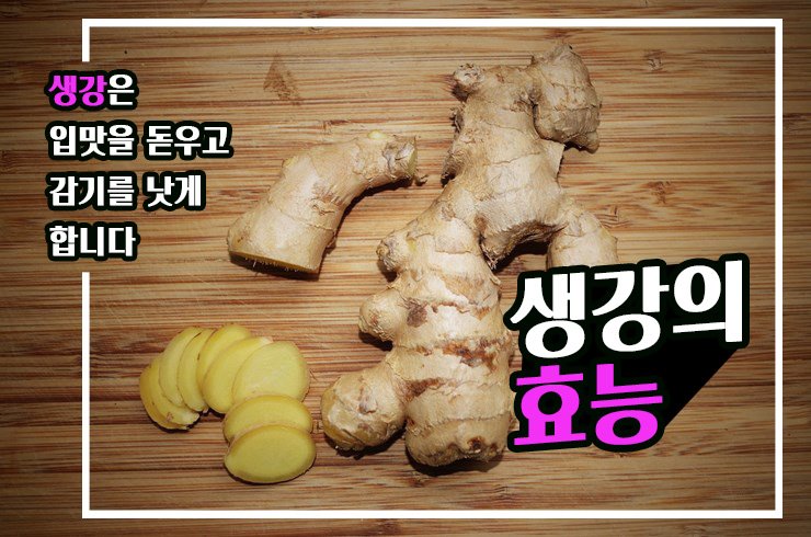  [약초건강] 생강은 입맛을 돋우고 감기를 낫게합니다! 생강의 효능은? With 생강의 부작용은?