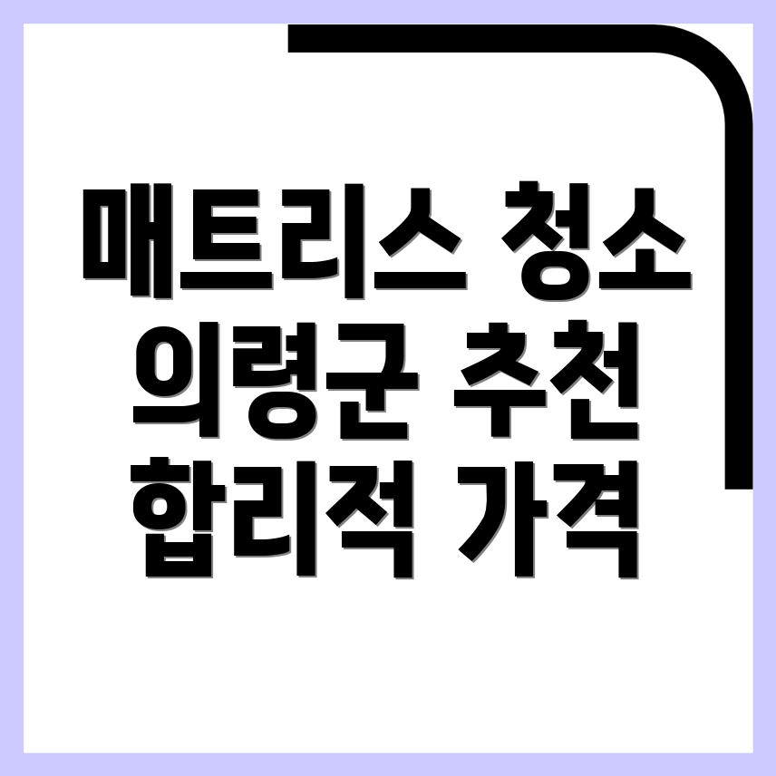 의령군 매트리스 청소