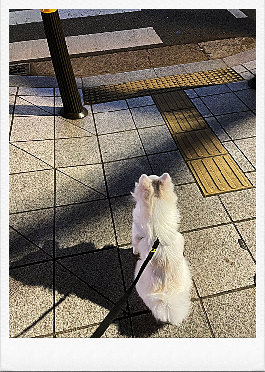 밥을안먹어요 12