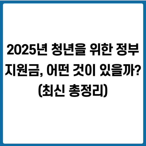 2025년 청년을 위한 정부 지원금