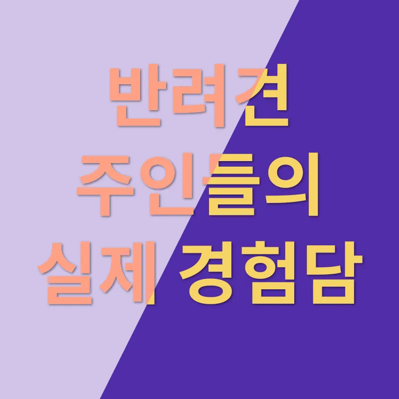 반려견 사료_3