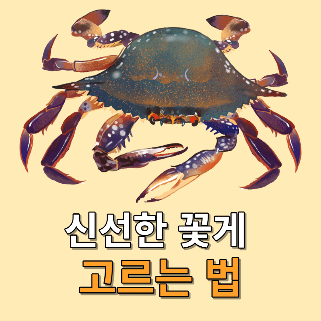 꽃게 고르는 법