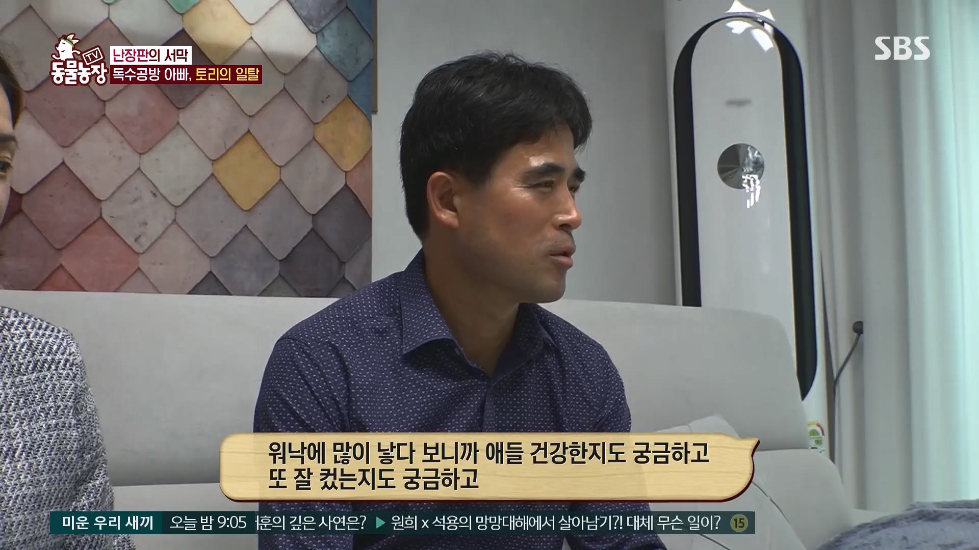 TV 동물농장.E1118.230430p.H264-F1RST.mp4_20230430_172353.838.jpg