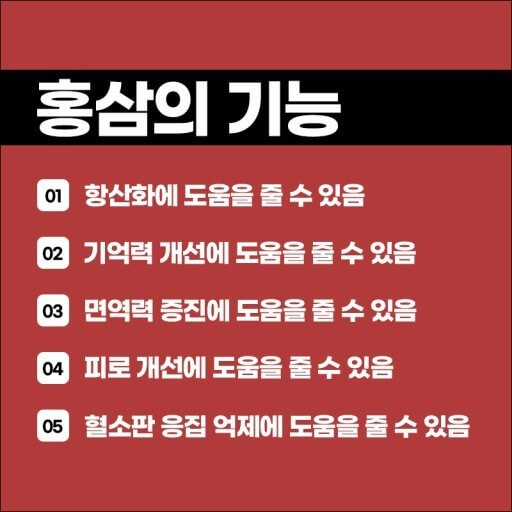 홍삼의 효능