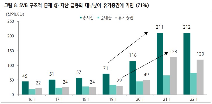 SVB 구조적 문제 자산