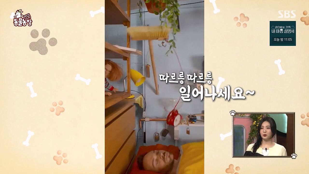 TV 동물농장.E1172.240520p-NEXT.mp4_20240519_162212.298.jpg