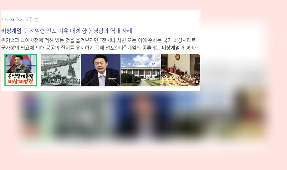 비상계엄_2_subsection