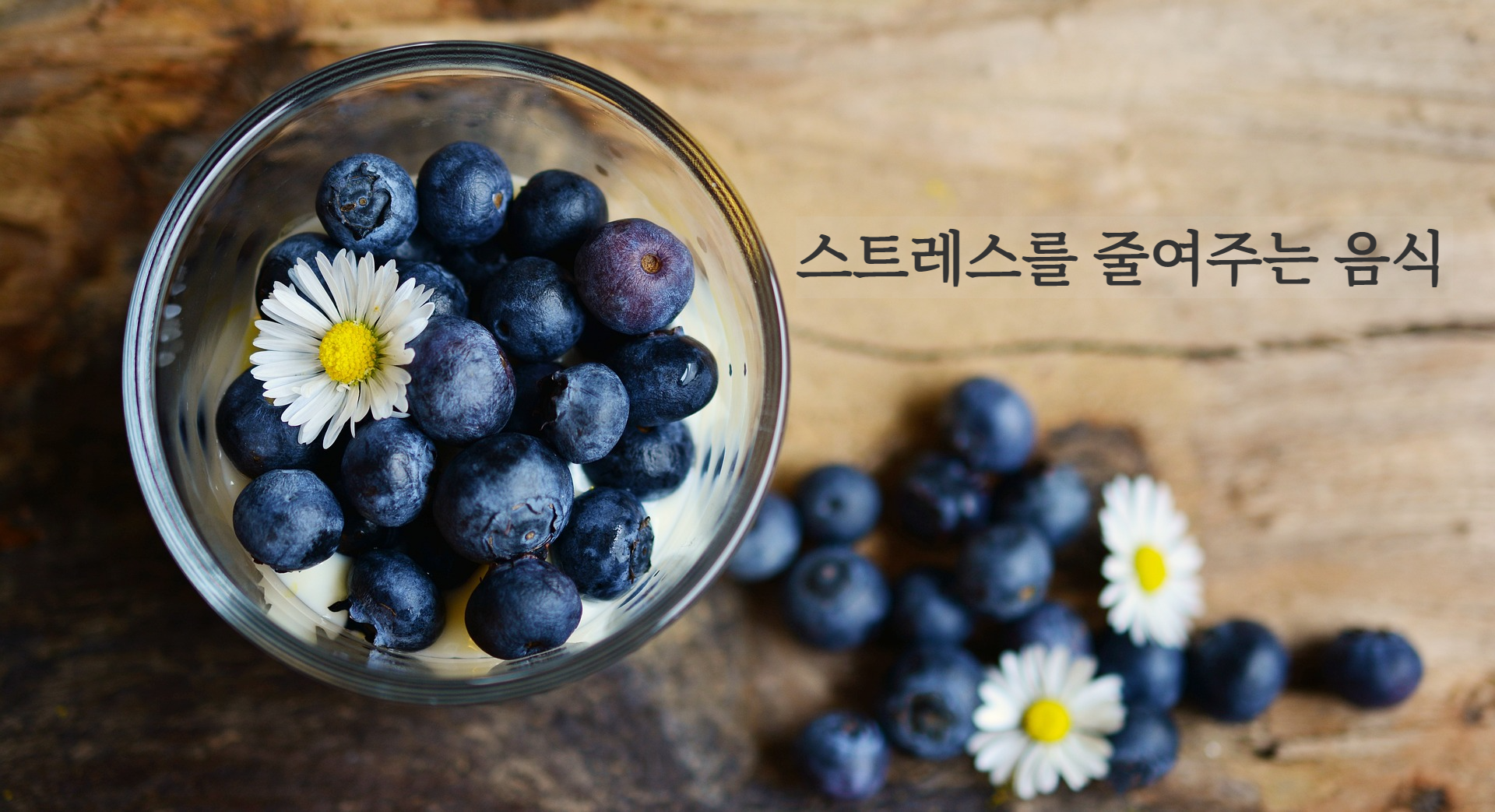  스트레스 해소음식- 건강과 스트레스 모두 좋은 음식은 없나요?