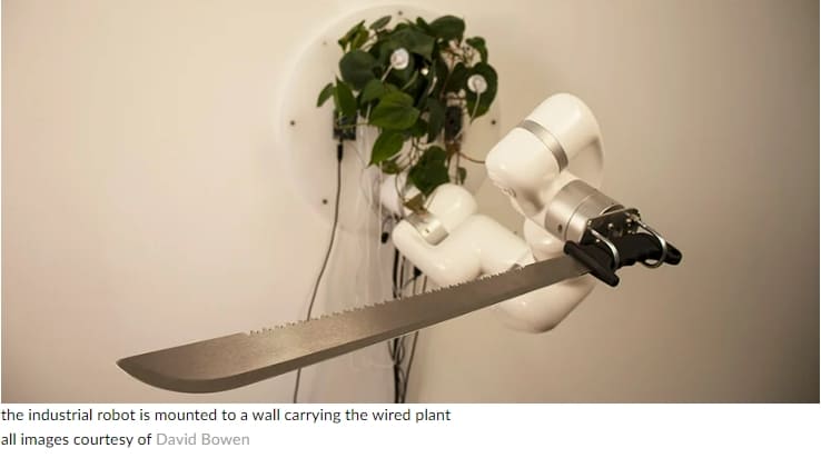 살아있는 식물이 로봇 칼을 움직인다 VIDEO: Living plant controls a machete through an industrial robot arm