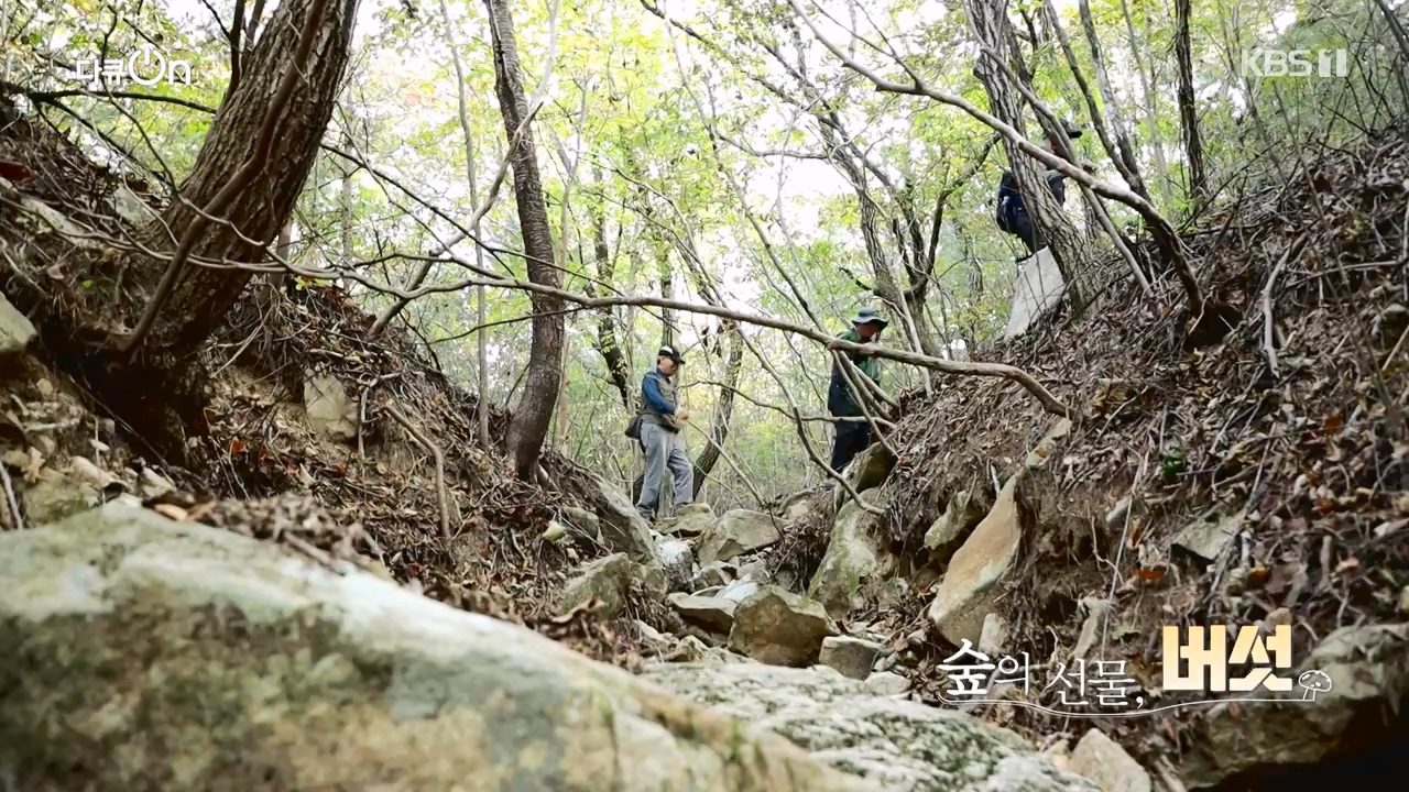 다큐 온.E227.231120p-NEXT.mp4_20231121_203705.475.jpg