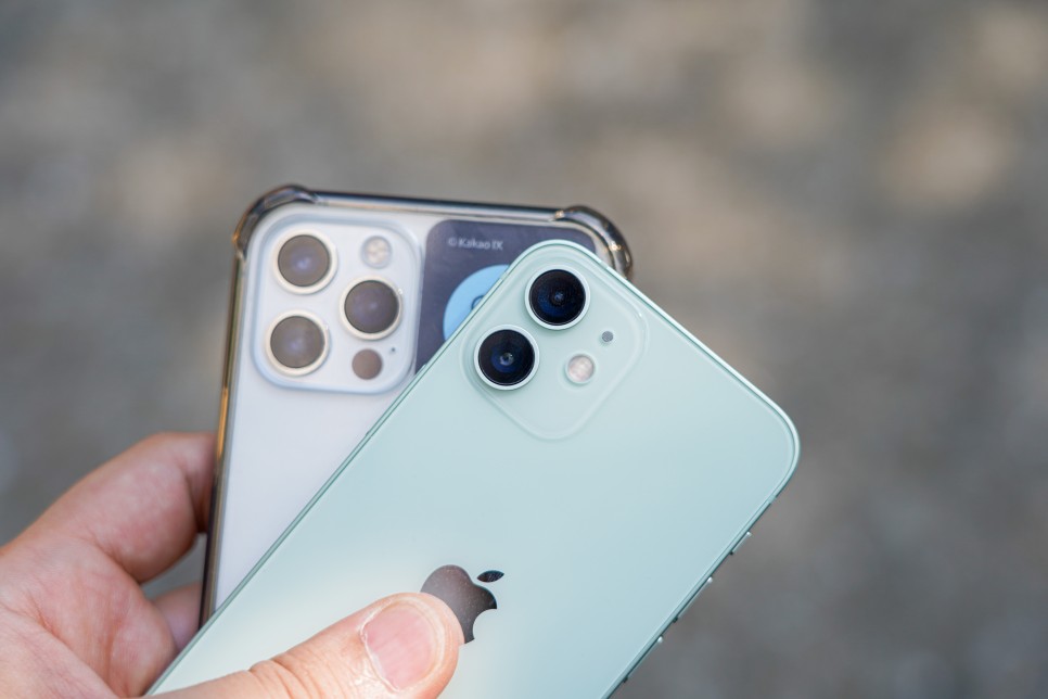 가격, 컬러가 고민이라면? 실전 꿀팁! 아이폰 12 미니 vs Pro 13