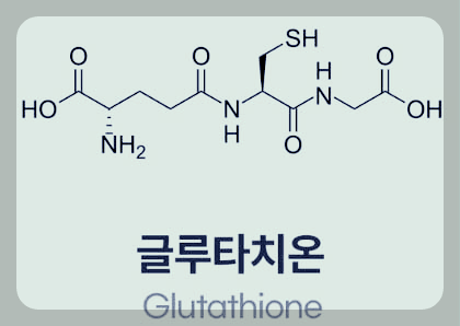 글루타치온