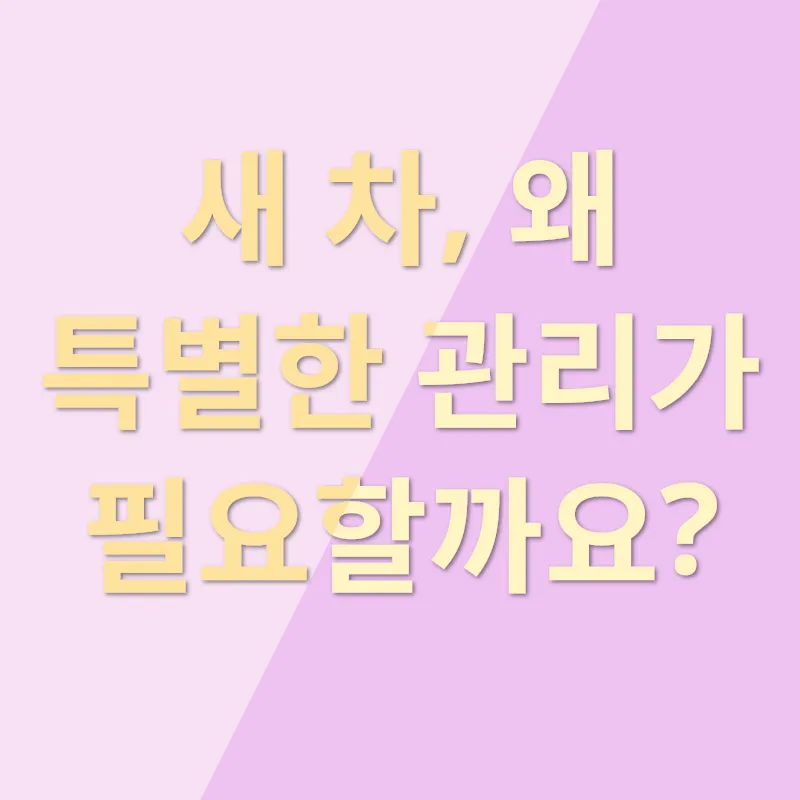 신차 관리_1