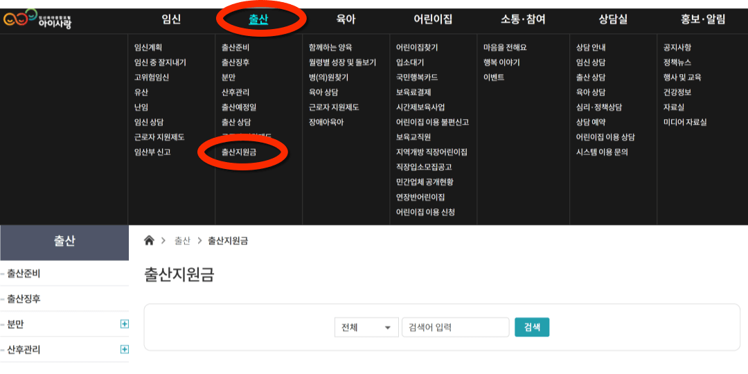 아이사랑 출산장려금 조회