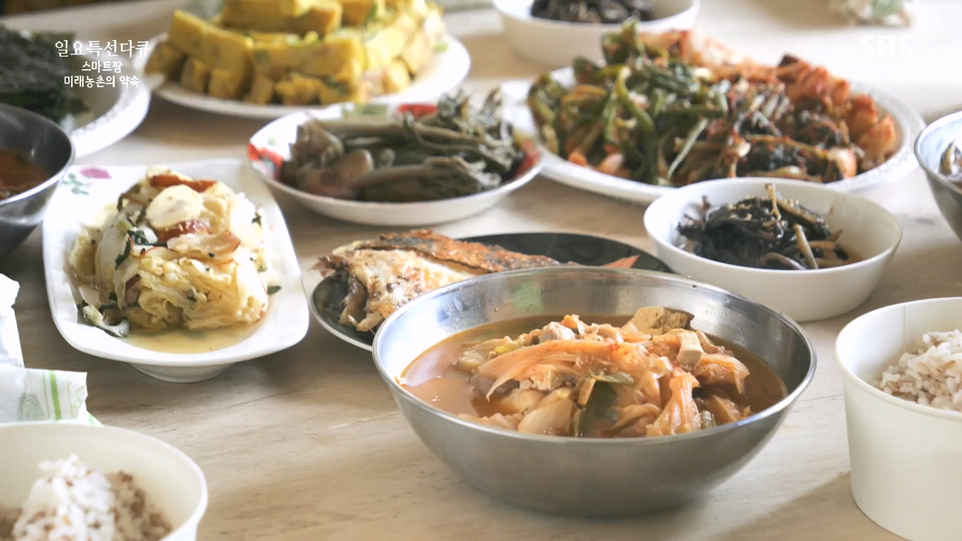 일요 특선 다큐멘터리.E348.240804p.H264-F1RST.mp4_20240805_201501.803.jpg