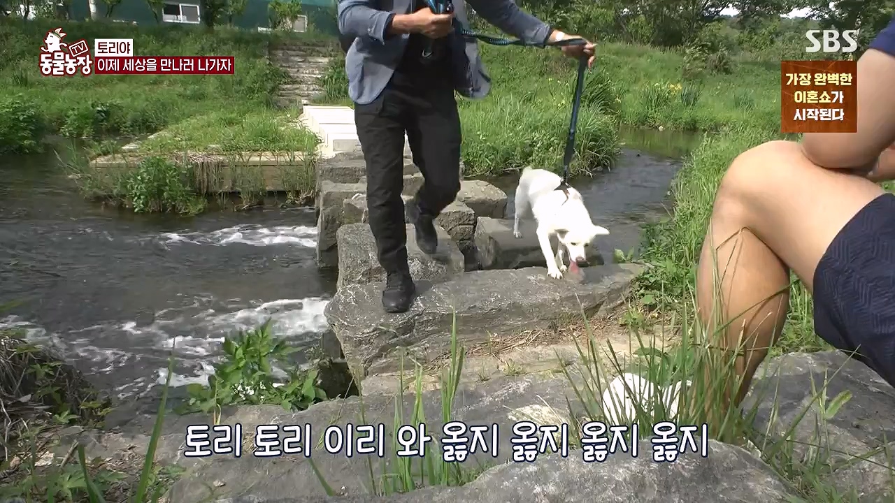 TV 동물농장.E1179.240708p-NEXT.mp4_20240707_160437.057.jpg