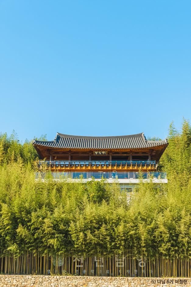  전남 여행, 가을을 배경 삼아 인생 사진 찍기 좋은 담양 여행