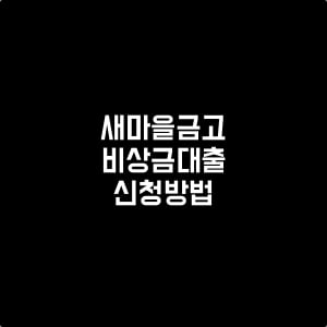 새마을금고상상모바일대출