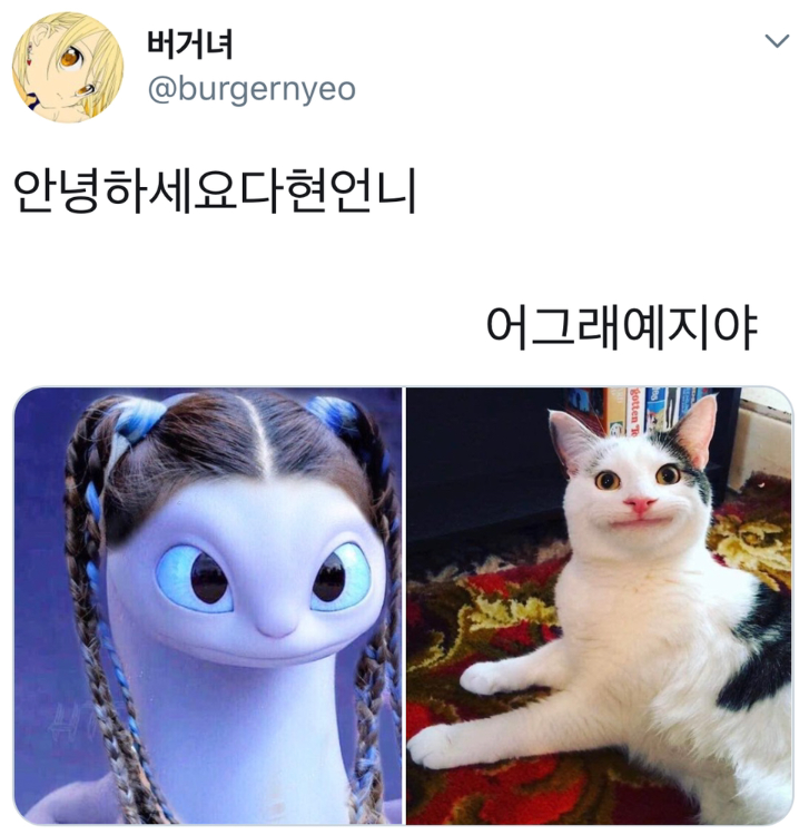  안녕하세요 다현언니 어그래 예지야