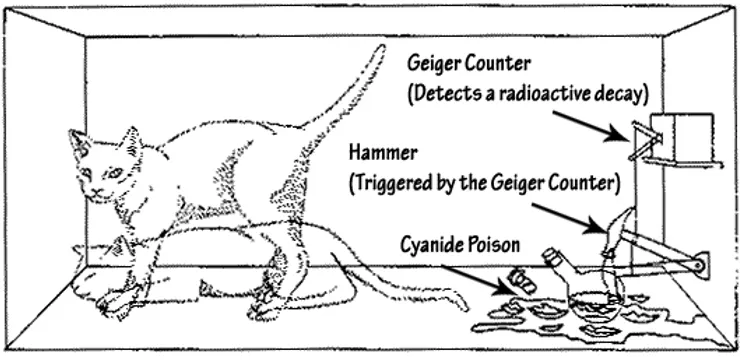 슈뢰딩거의 고양이 설명 그림