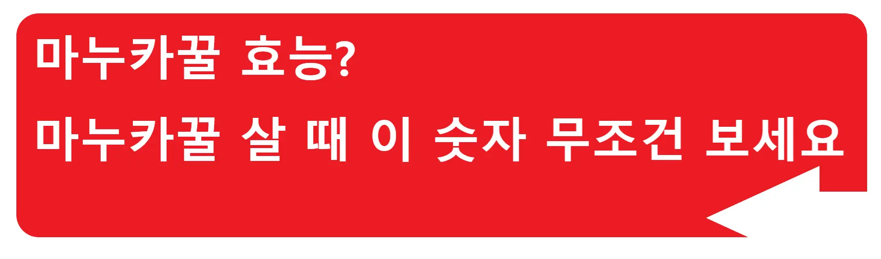 돼지감자차 효능? 좋다고 많이 먹으면 안돼요! 돼지감자차 먹는 법도 같이 알아봐요!