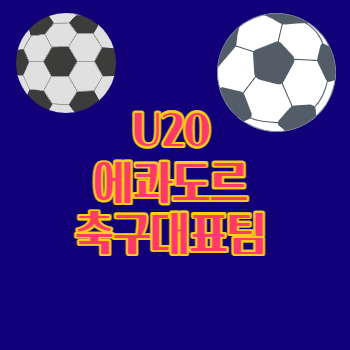 U20에콰도르축구대표팀