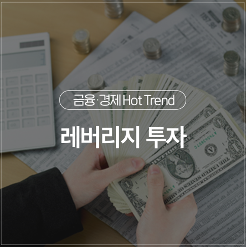 레버리지(Reverage), 양날의 검[레버리지 투자/갭 투자]