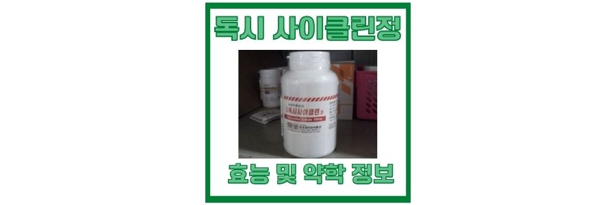  영풍 독시 사이클린정 100mg 의약품 정보