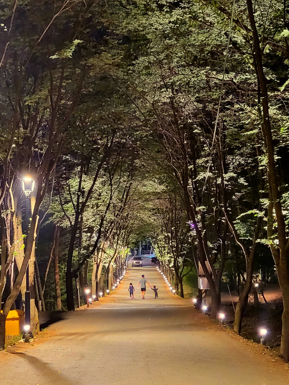 옥화 자연휴양림 청주 옥화자연휴양림 숲속의집 20