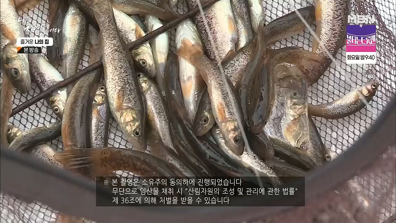 나는 자연인이다.E535.230105p.H264-F1RST.mp4_20230106_204002.462.jpg