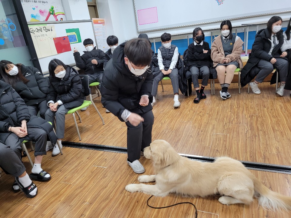 전일중학교 이미지