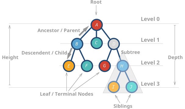  TreeMap