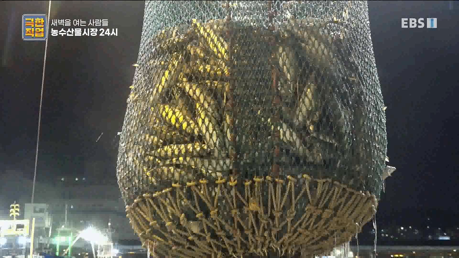 농수산물 시장 24시.mp4_20221020_161646.818.jpg