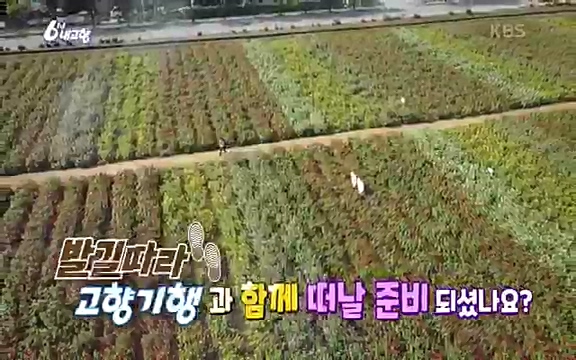 [7612회] 6시 내고향 - KBS7612회] 6시 내고향.ts_20220912_171303.846.jpg