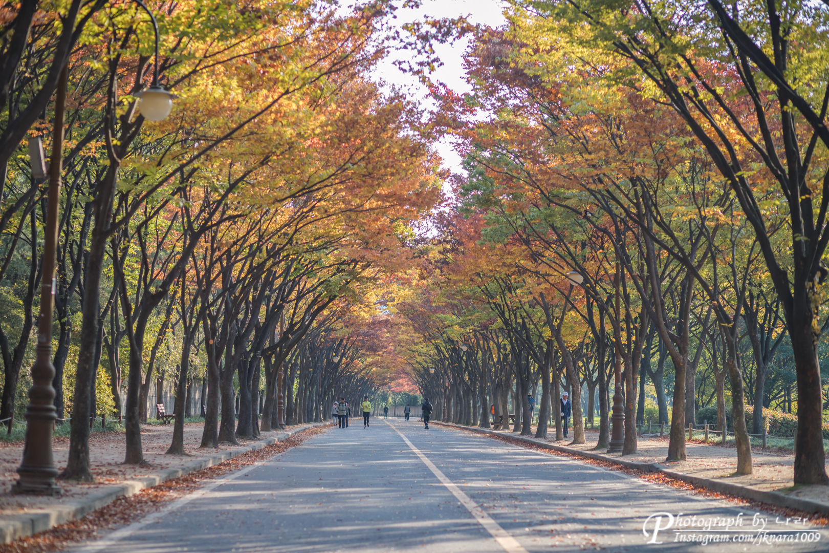 인천대공원 단풍 여행+ 경인아라뱃길(수향원)