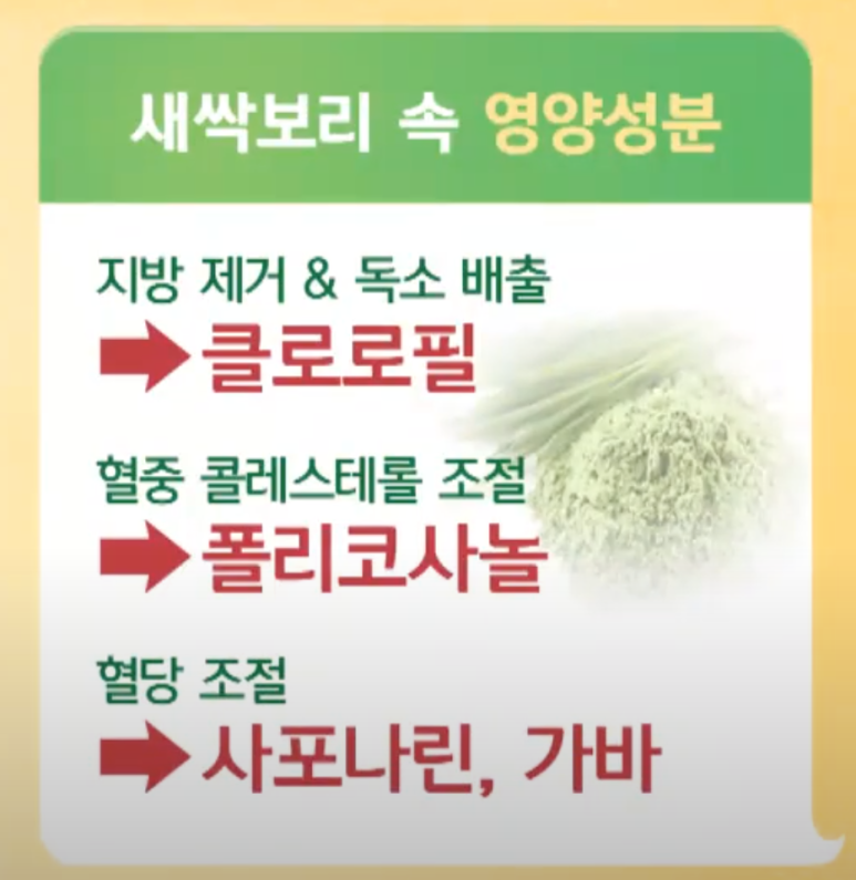 새싹보리속폴리코사놀고지혈증예방효과