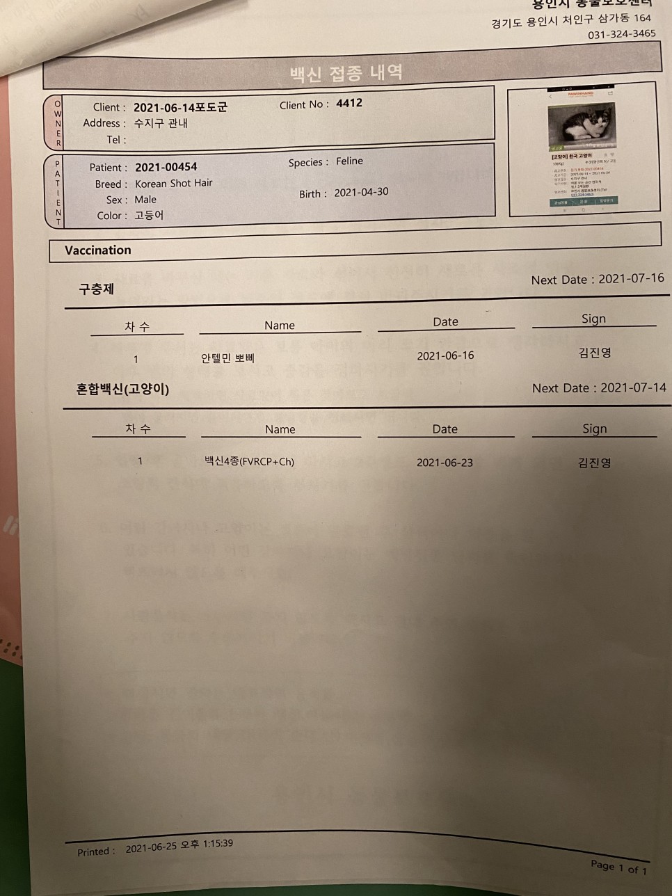 포인핸드 이미지