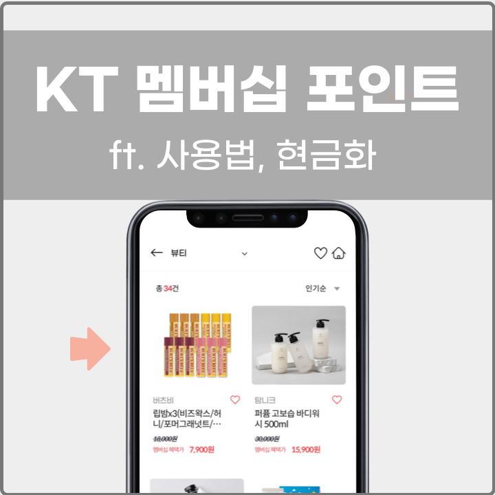 kt 멤버십 포인트 사용법 관련 포스팅 썸네일