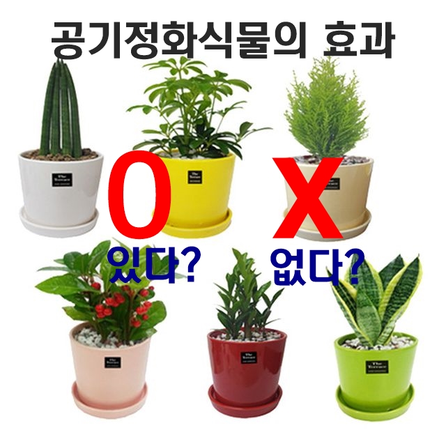  [연구] 공기정화식물? 실제로 화분에 심은 식물의 공기 정화능력 없음 밝혀져...